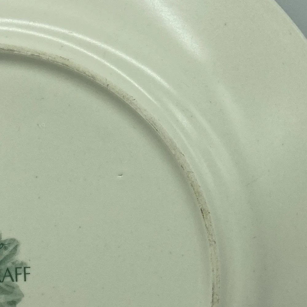 Portfolio Pfaltzgraff Naturewood Dinner Plates 11